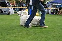 IMG_1928