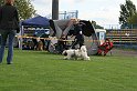 IMG_1930