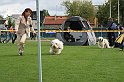 IMG_1931