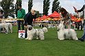 IMG_1933