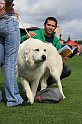 IMG_1934