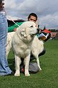 IMG_1935