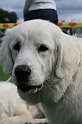 IMG_1937