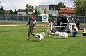 IMG_1941