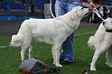 IMG_1949