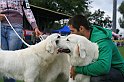 IMG_1951