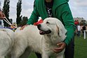 IMG_1952