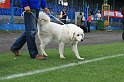 IMG_1953