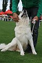 IMG_1954