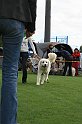 IMG_1957