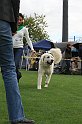 IMG_1958