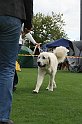 IMG_1959