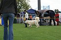 IMG_1963