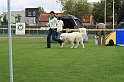 IMG_1964