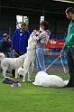 IMG_1969