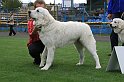 IMG_1971