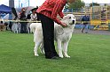 IMG_1972