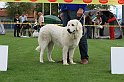 IMG_1976