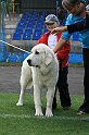 IMG_1978