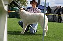 IMG_1988
