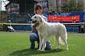 IMG_1990