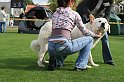 IMG_1992