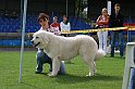 IMG_2001