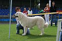 IMG_2002