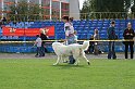 IMG_2004