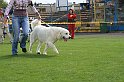 IMG_2008