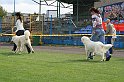 IMG_2014