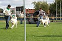 IMG_2017