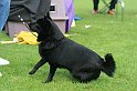 IMG_2025