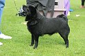 IMG_2026