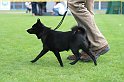 IMG_2028