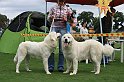 IMG_2030