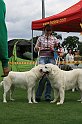 IMG_2031