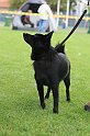 IMG_2036