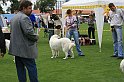 IMG_2039