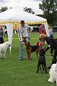 IMG_2040