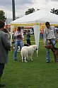 IMG_2041