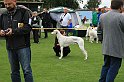 IMG_2042