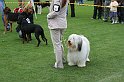 IMG_2045