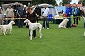 IMG_2046