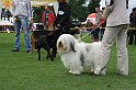 IMG_2049