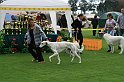 IMG_2053