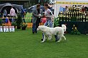IMG_2055