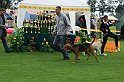 IMG_2056