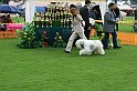 IMG_2058