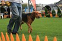 IMG_2059